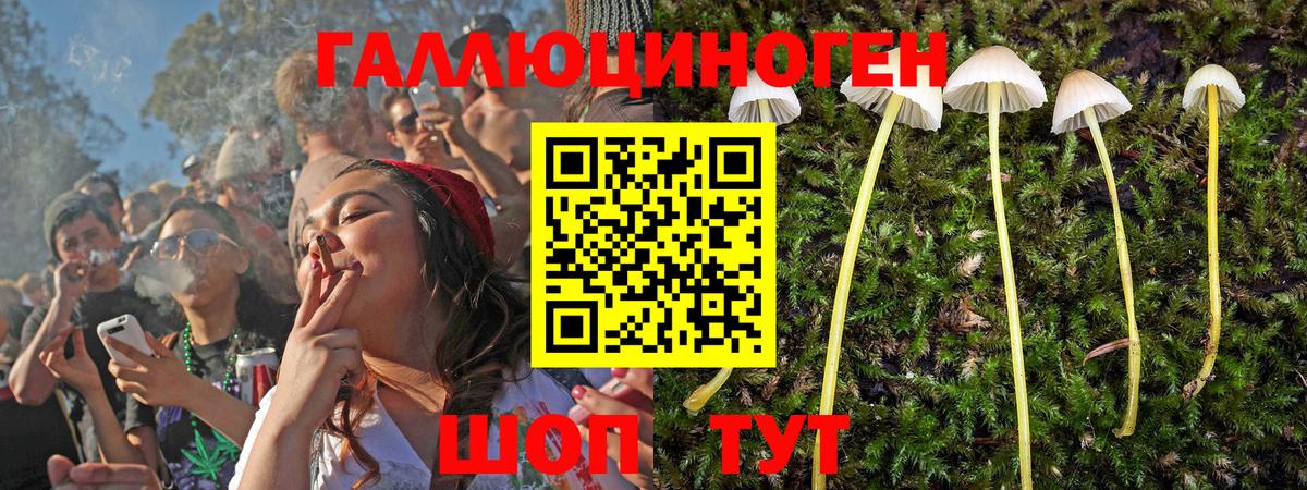 Галлюциногенные грибы Magic Shrooms Кимры