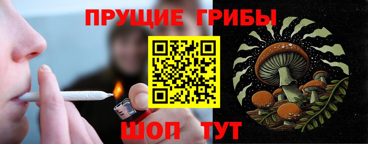 Кимры  Галлюциногенные грибы прущие грибы  купить  цена  Вход с VPN 