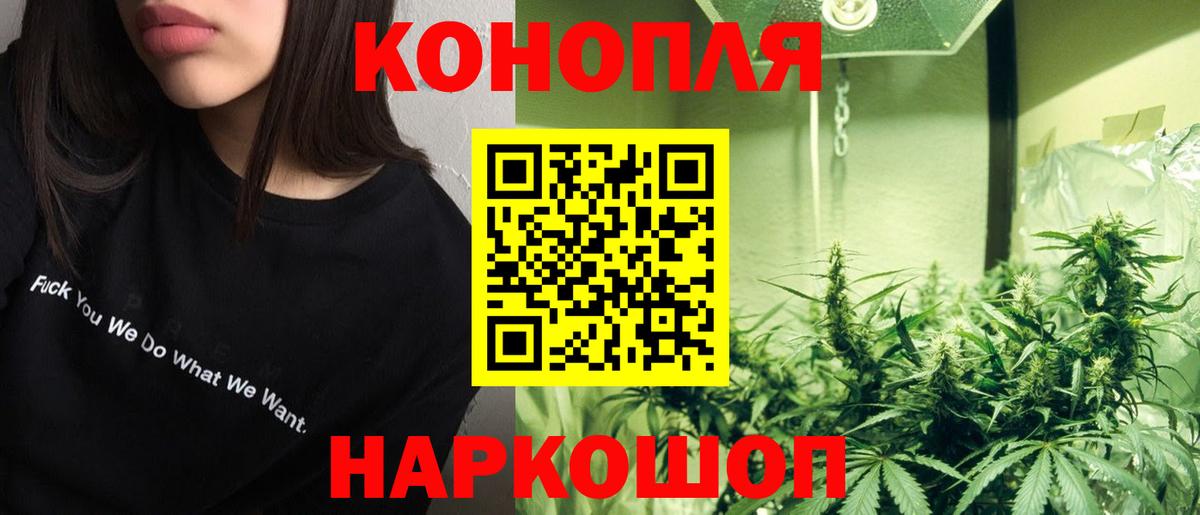 Шишки марихуана MAZAR Кимры